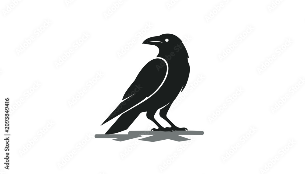 Fototapeta premium Bold black vector silhouette of a crow or raven perched on a branch, looking back on a white background.