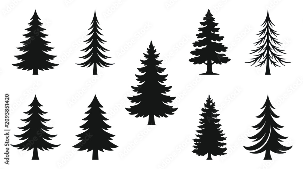 Obraz premium Evergreen tree silhouettes collection