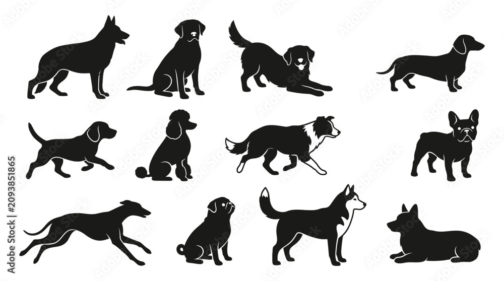 Obraz premium Dog Breed Silhouettes Collection Black Shapes On White Background
