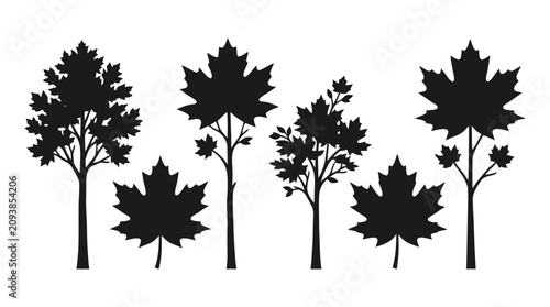 Konstfotografi Maple tree and leaf silhouettes