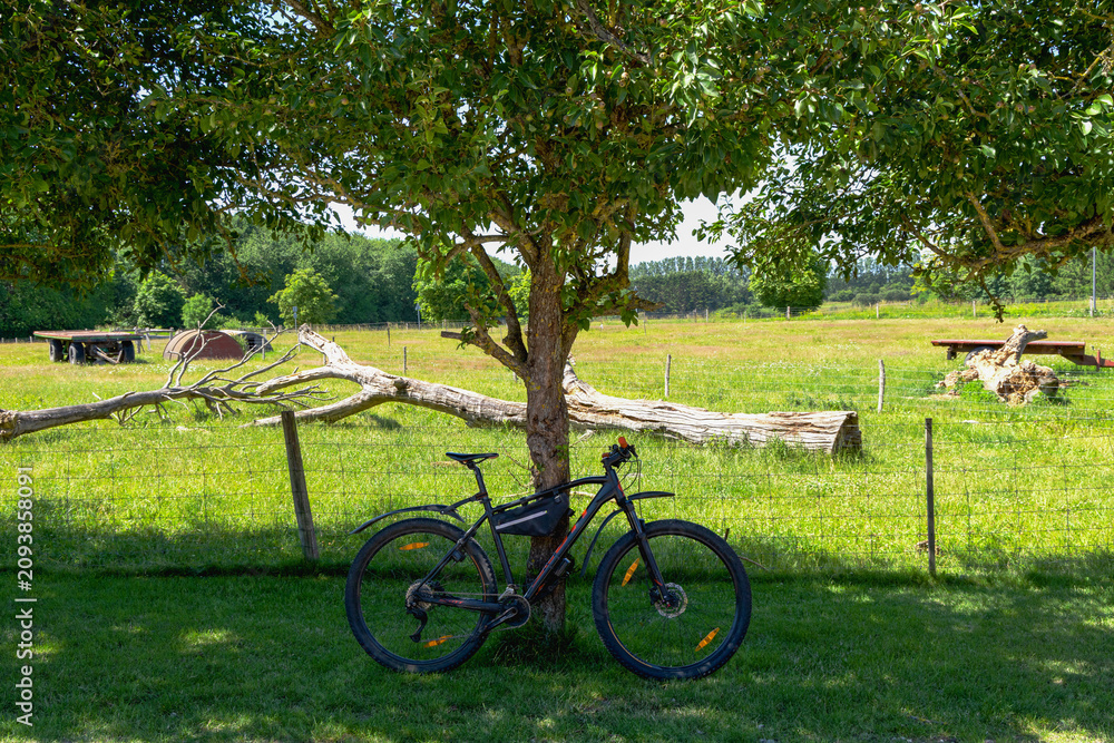 Obraz premium Bicycle resting in shade beside rural field