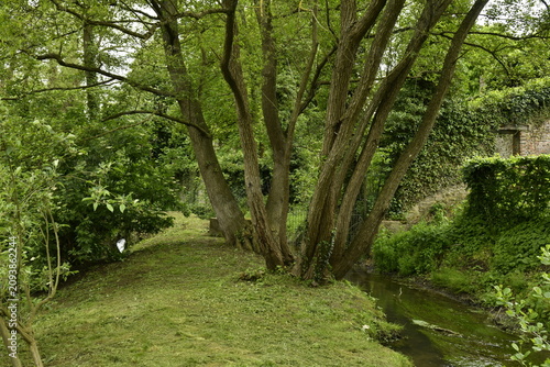 Canvastavla L'Eau d'Heure coulant paisiblement en plein bois à Ham-Sur-Heure (Thuin)