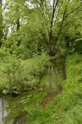 Foto L'Eau d'Heure coulant paisiblement en plein bois à Ham-Sur-Heure (Thuin)