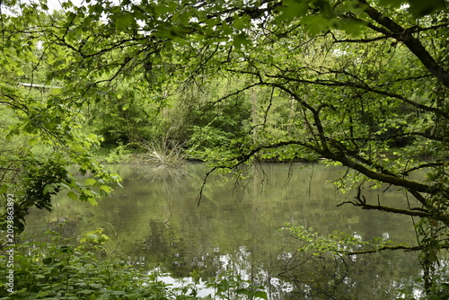 Obraz na płótnie L'Eau d'Heure coulant paisiblement en plein bois à Ham-Sur-Heure (Thuin)