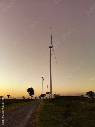 Wind turbines standing in a field along a rural road at golden hour