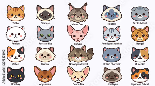 Foto Cute cat breeds collection