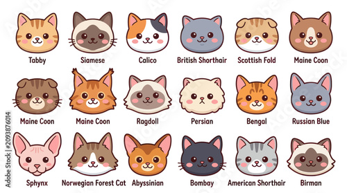 Cuadro en lienzo Cute cat breeds collection