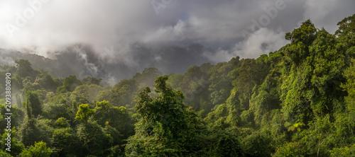 Panoramic Misty Mountain Scene