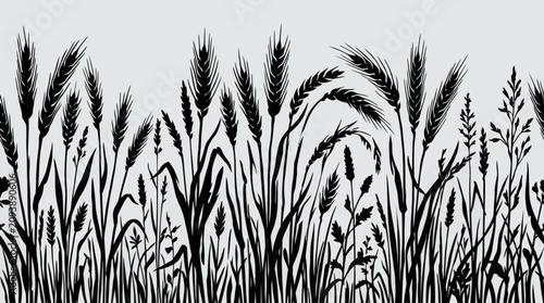 Obraz na płótnie Silhouetted grain field border design