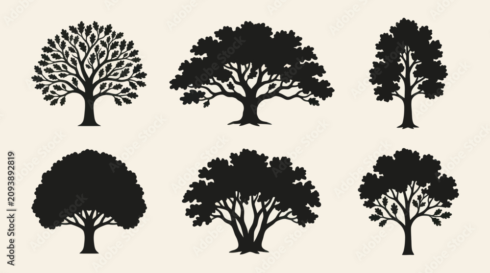 Fototapeta premium Tree silhouettes collection
