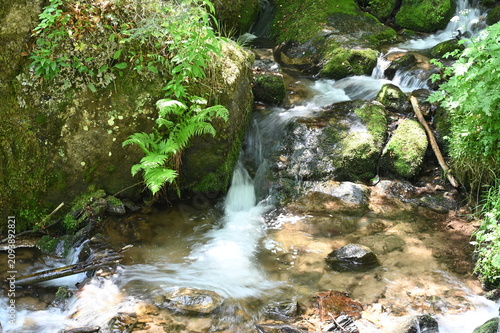 Foto Kleiner Bach in den Vogesen