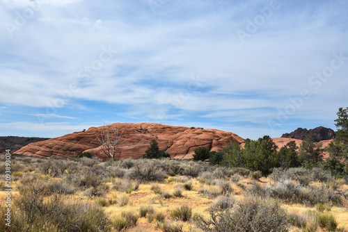 red rocks in the desert