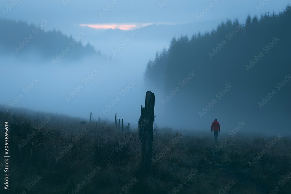 Fototapeta premium Foggy pine valley at blue hour with weathered fence post