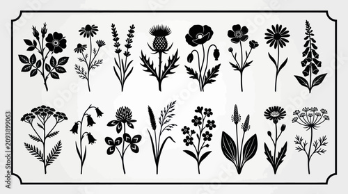 Black silhouettes of various wildflowers and plants