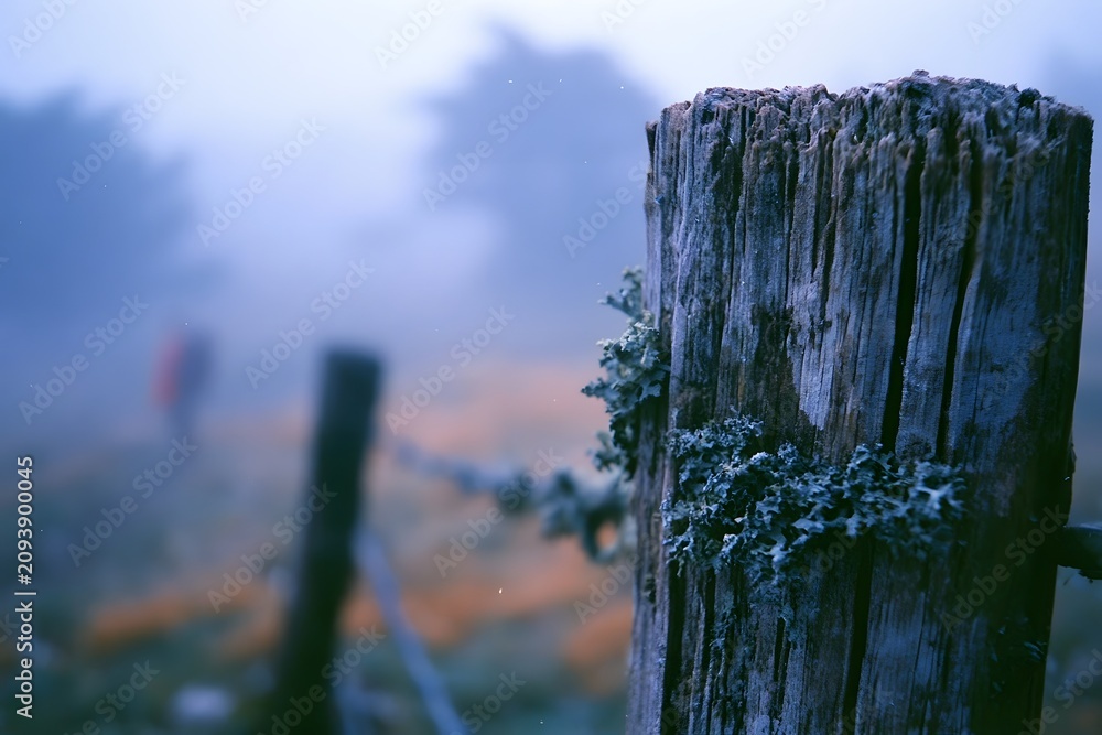 Fototapeta premium Textured fence wood against a misty blue hour landscape