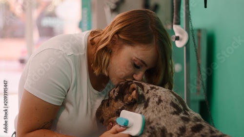 Obraz na plátně Groomer brushing a dog's fur with evident care and affection