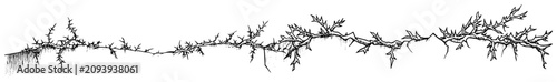 фотографія Thorny branches and dry brambles growing across the ground in hand drawn sketch