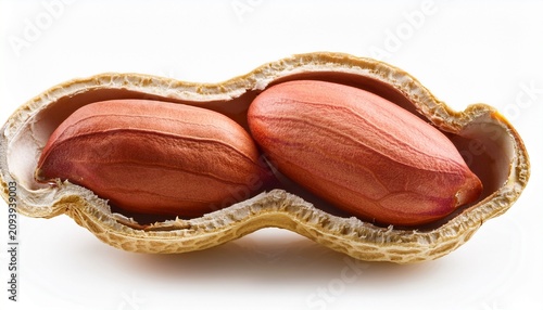 Peanut In Shell Isolated On White Background