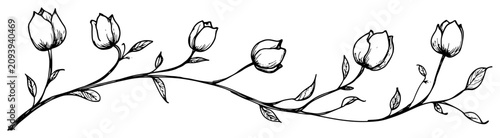 Foto Tulip flower stems and buds in a horizontal floral banner design in hand drawn l