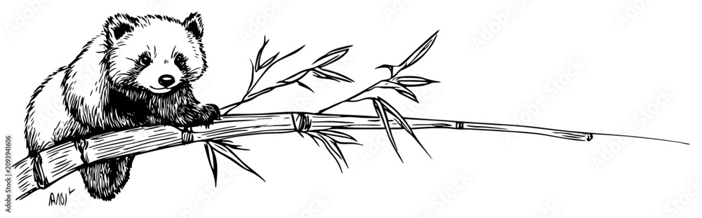 Obraz premium Giant panda cub sitting on a bamboo branch with leaves in hand drawn sketch style