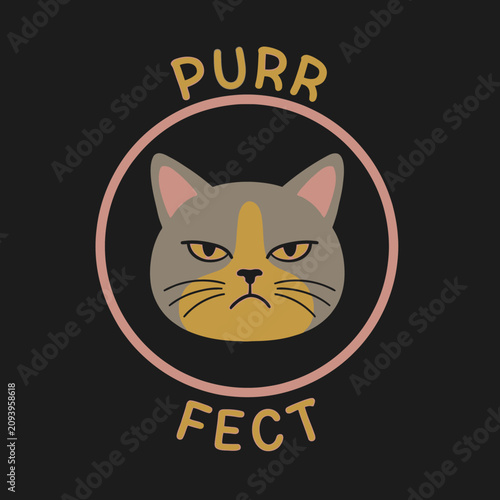 Quadro su tela Angry Cat Face Closeup Portrait.
