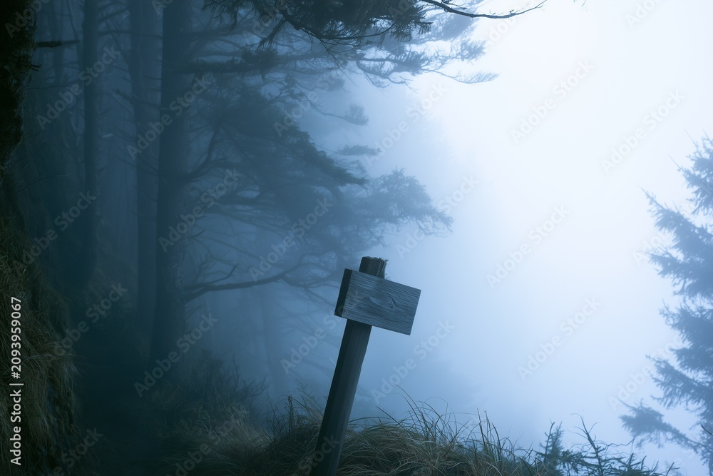 Fototapeta premium Blue-toned foggy pine forest with wooden trail marker at dusk