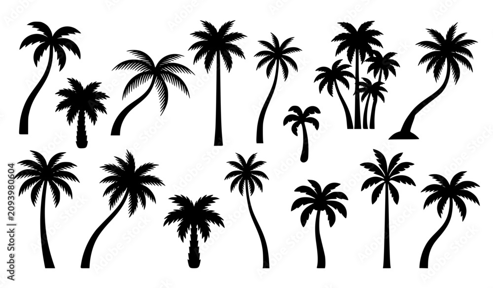 Fototapeta premium Modern Tropical Palm Tree Silhouette Vector Bundle with Black Botanical Trees Isolated on White Background