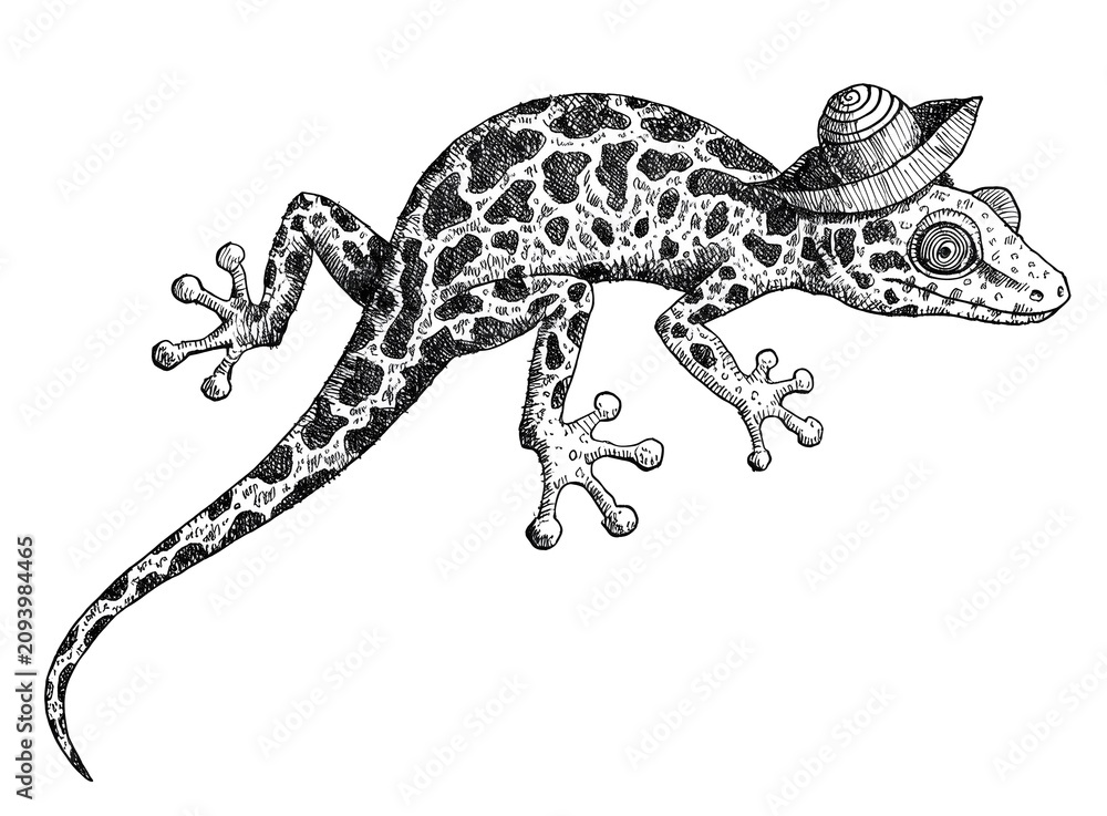 Fototapeta premium Cartoon gecko lizard wearing a cowboy hat and standing on four legs