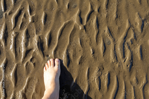 Canvastavla Close-up of Mudflat Texture on the West Coast of Korea