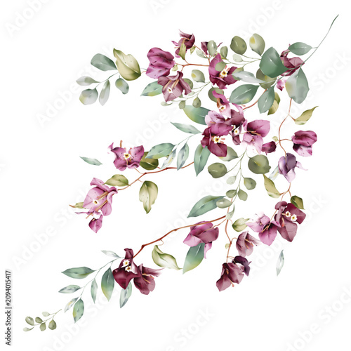 Minimalist watercolor illustration of purple bougainvillea flowers intertwine...