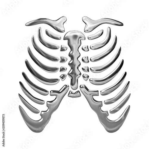 Obraz na plátne chrome rib skeleton