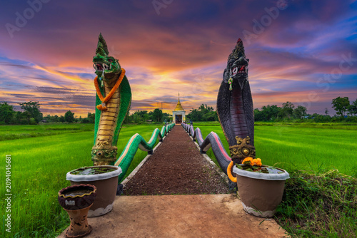 A sacred Buddha footprint situated in the middle of a lush green rice paddy field in Sakon Nakhon province, northeastern Thailand.