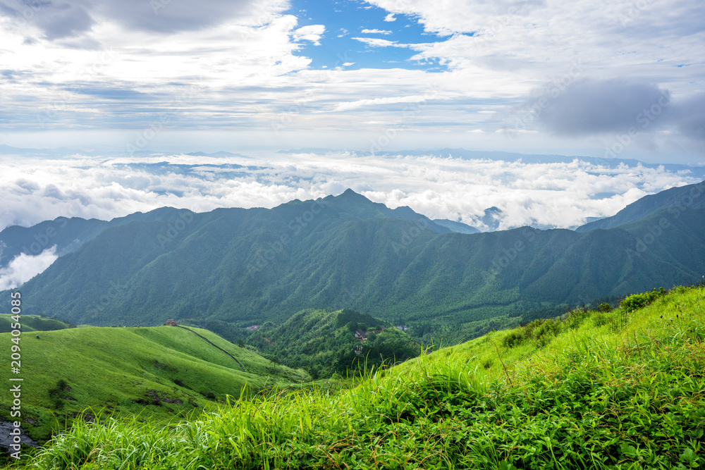 Fototapeta premium Alpine Meadows of Wugong Mountain, Jiangxi, China