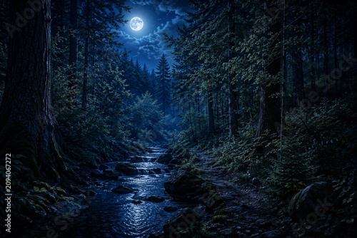 Moonlit Forest Stream Under a Starry Night Sky.