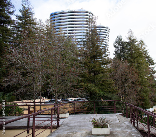 Cuadro en lienzo beautiful green spaces in the well-maintained park of Sochi in winter