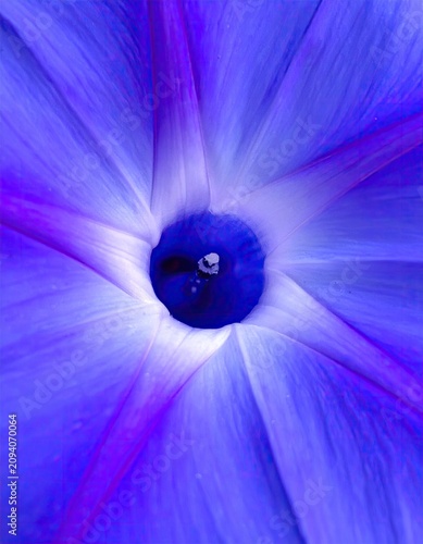 Close-up Macro View of a Vibrant Blue Morning Glory Flower Center.