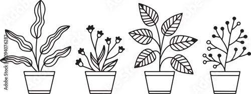 Set of outline house plants in pots, isolated on transparent background, for home interior decoration.