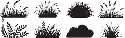 Natural grass silhouette collection with wheat ears and meadow weeds set isolated on transparent background for landscape scene.