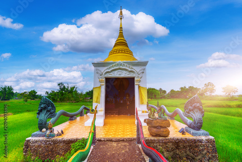 A sacred Buddha footprint situated in the middle of a lush green rice paddy field in Sakon Nakhon province, northeastern Thailand.