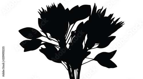 Foto Black silhouette of lush protea flower arrangement with large petals and decorative leaves isolated on transparent background vector illustration
