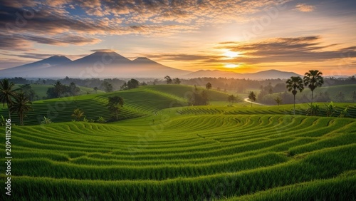 Sun rising over green terraced rice fields in mountains.