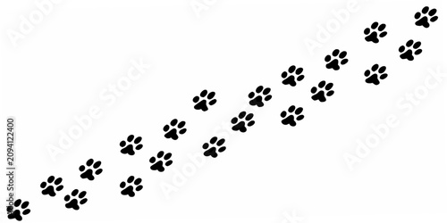 Black Paw Prints Silhouette On White Background Animal Track Pattern