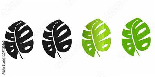 Monstera Leaf Illustrations In Varying Green Shades And Styles