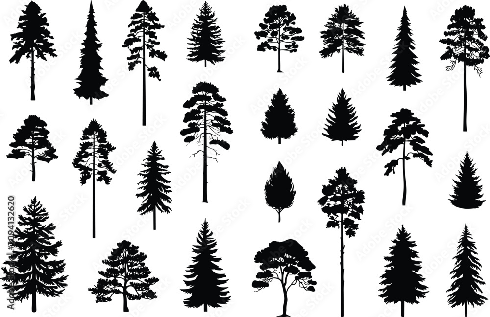 Fototapeta premium Evergreen Pine Tree Silhouette Collection Set