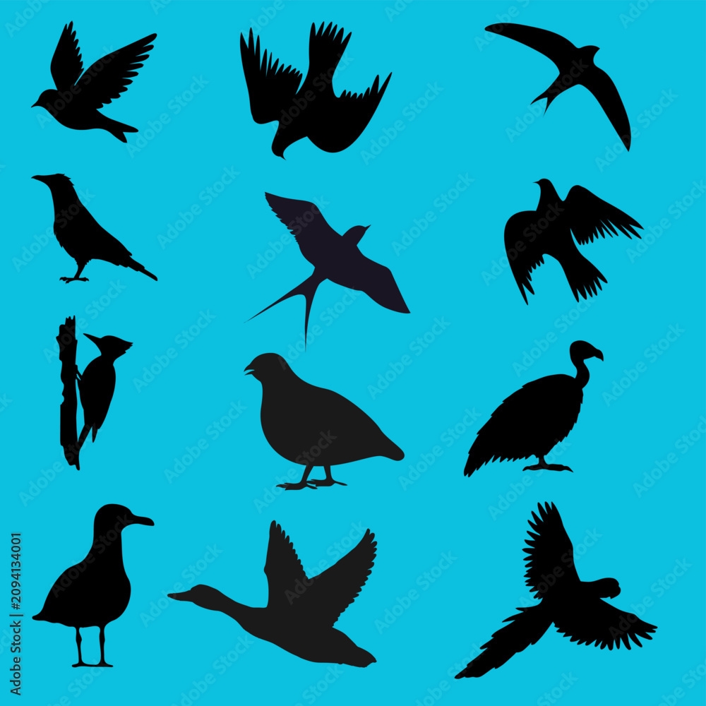 Obraz premium Flying birds silhouettes vector set. Black shapes of pigeons, eagles, crows, swallows, and seagulls flying in the sky isolated on background.