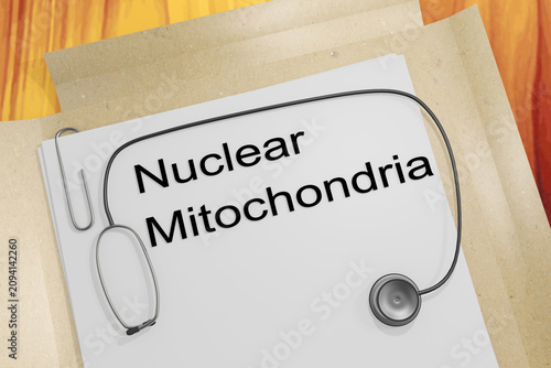 Nuclear Mitochondria concept