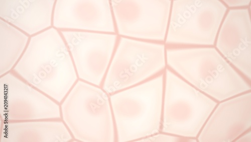 Cuadro en lienzo Abstract cellular structure with nuclei