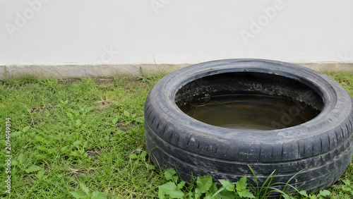 Old Tire Holding Rainwater as Mosquito Breeding Risk