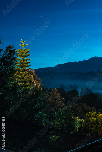 Illuminated coniferous tree in misty mountain landscape at night.