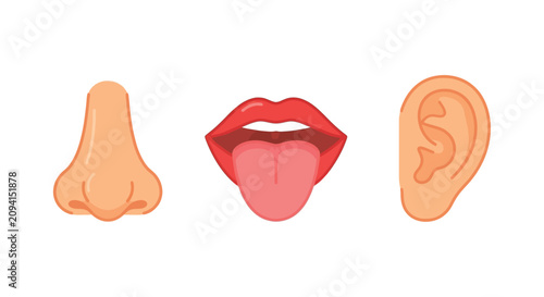 Bild auf Leinwand Human nose mouth with tongue and ear illustration with a flat colorful style on